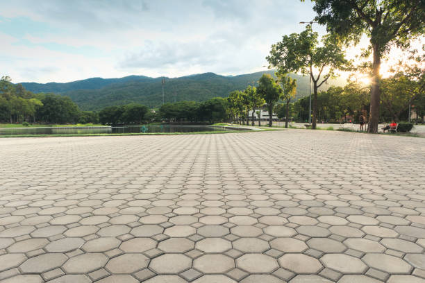 Best Driveway Repair Near Me  in Toulon, IL