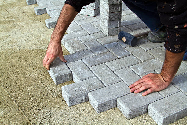 Best Local Driveway Pavers  in Toulon, IL